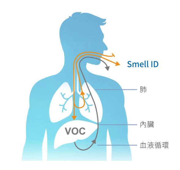 smell ID
